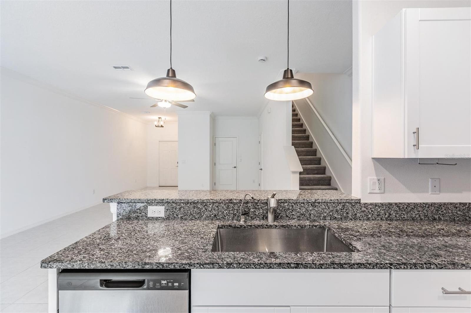 17482 NECTAR FLUME DR, LAND O LAKES, FL, 34638