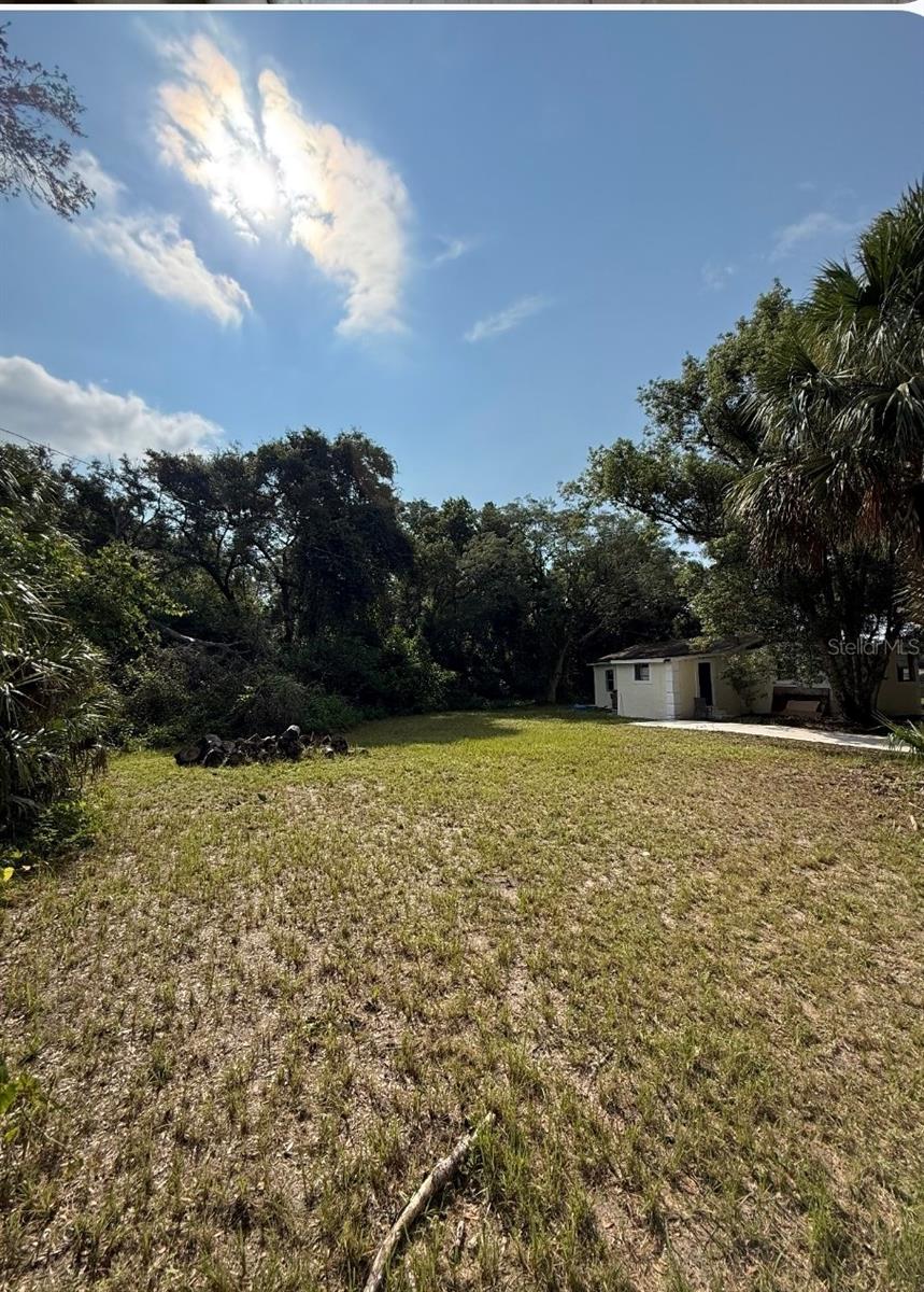 31647 MOUNT PLYMOUTH LOOP, SORRENTO, FL, 32776