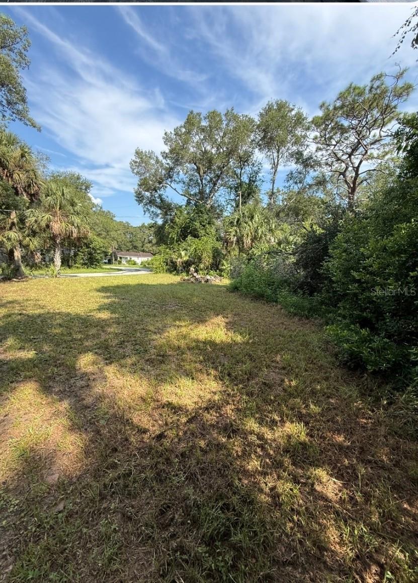 31647 MOUNT PLYMOUTH LOOP, SORRENTO, FL, 32776