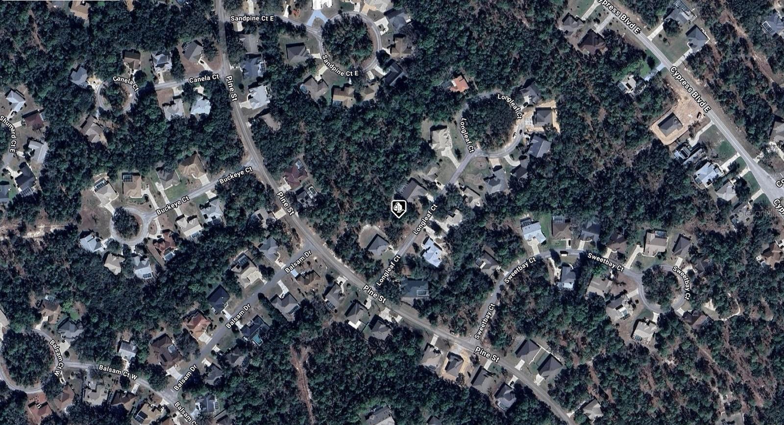 4 LONGLEAF CT, HOMOSASSA, FL, 34446