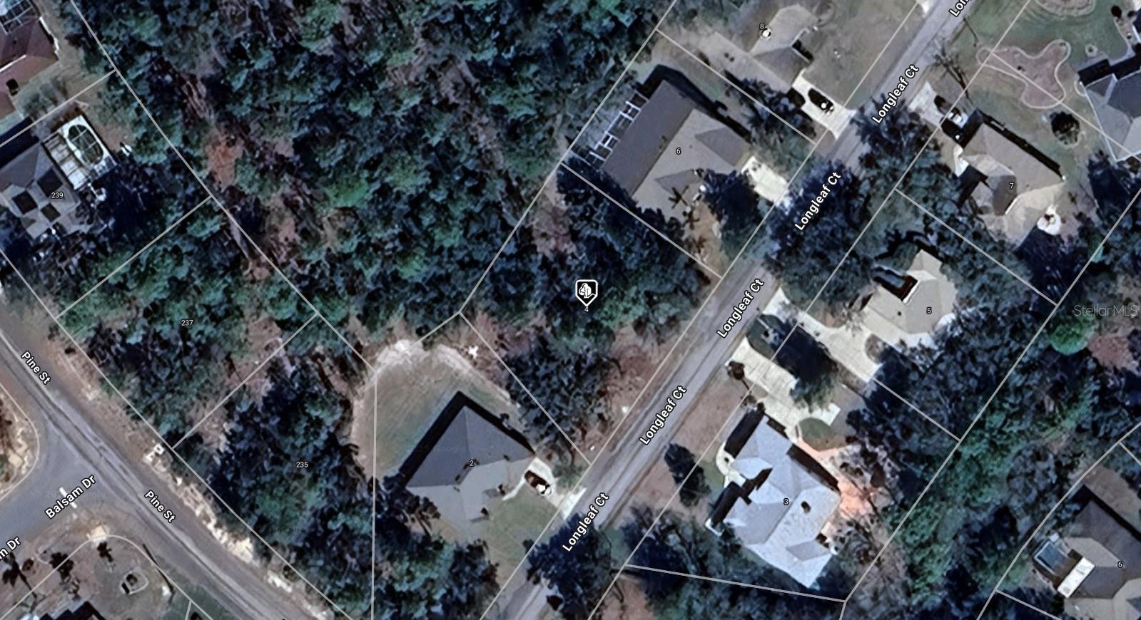 4 LONGLEAF CT, HOMOSASSA, FL, 34446