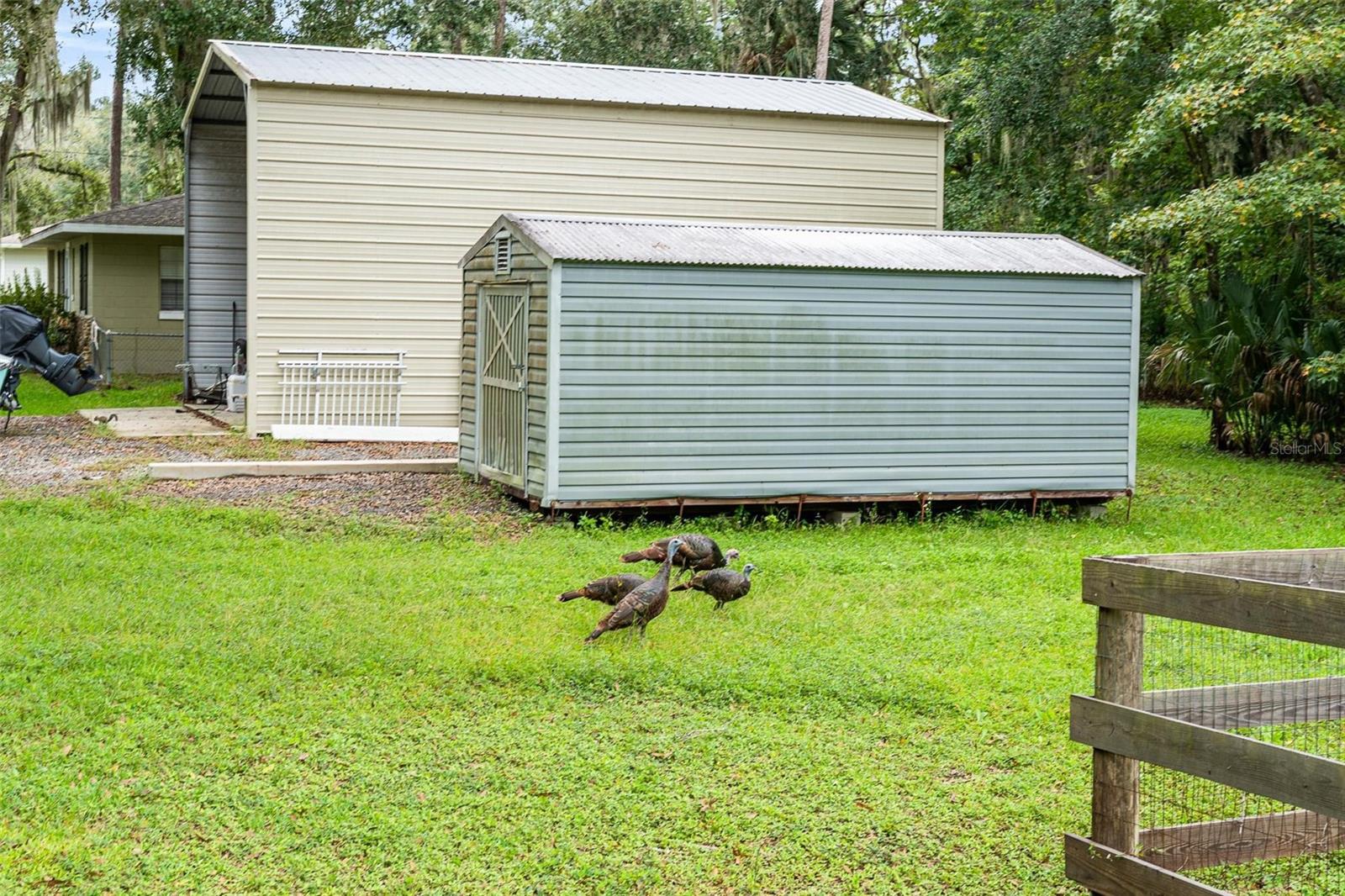 2841 BELINDA DR, DELAND, FL, 32720