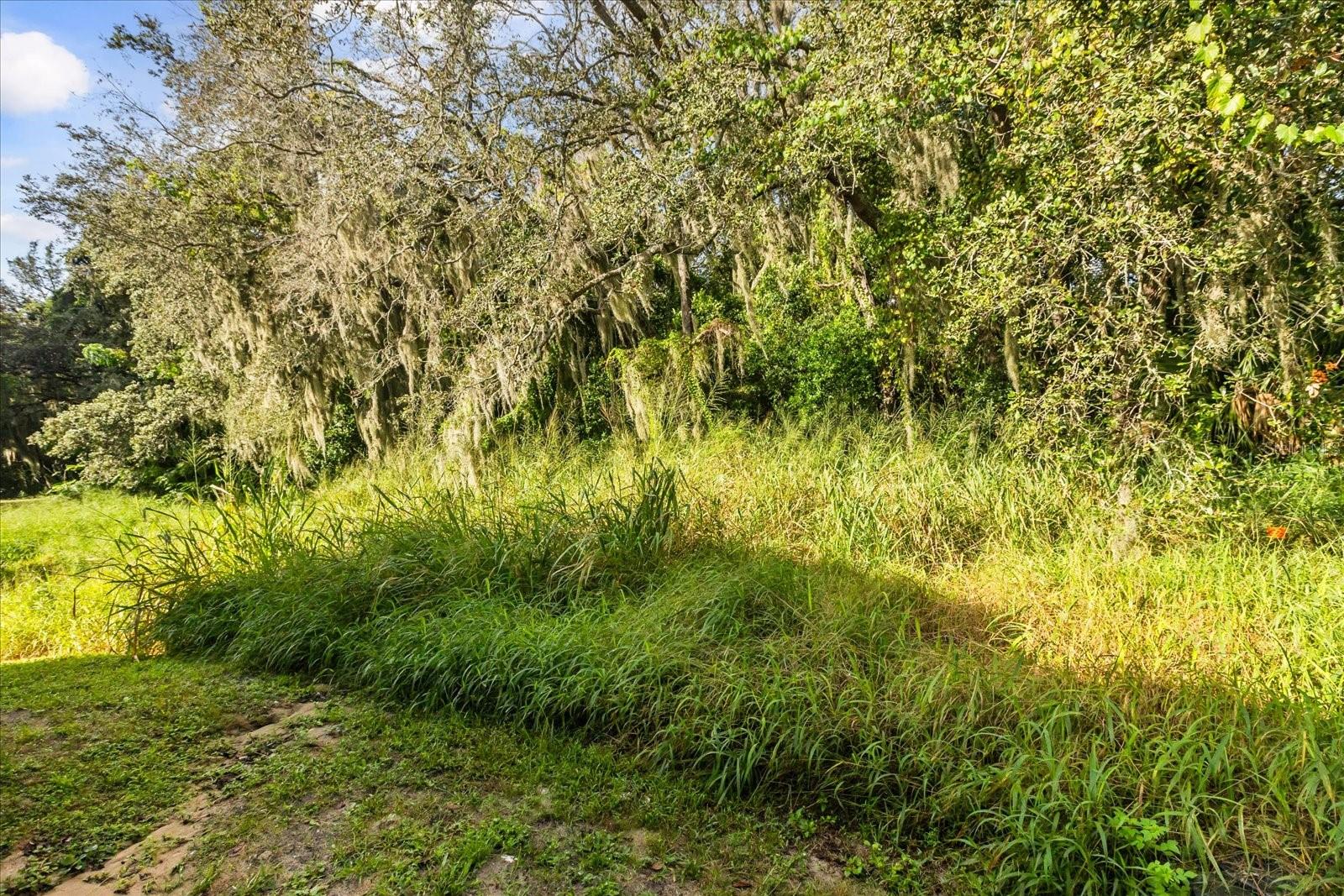 1222 WOODMAN WAY, ORLANDO, FL, 32818