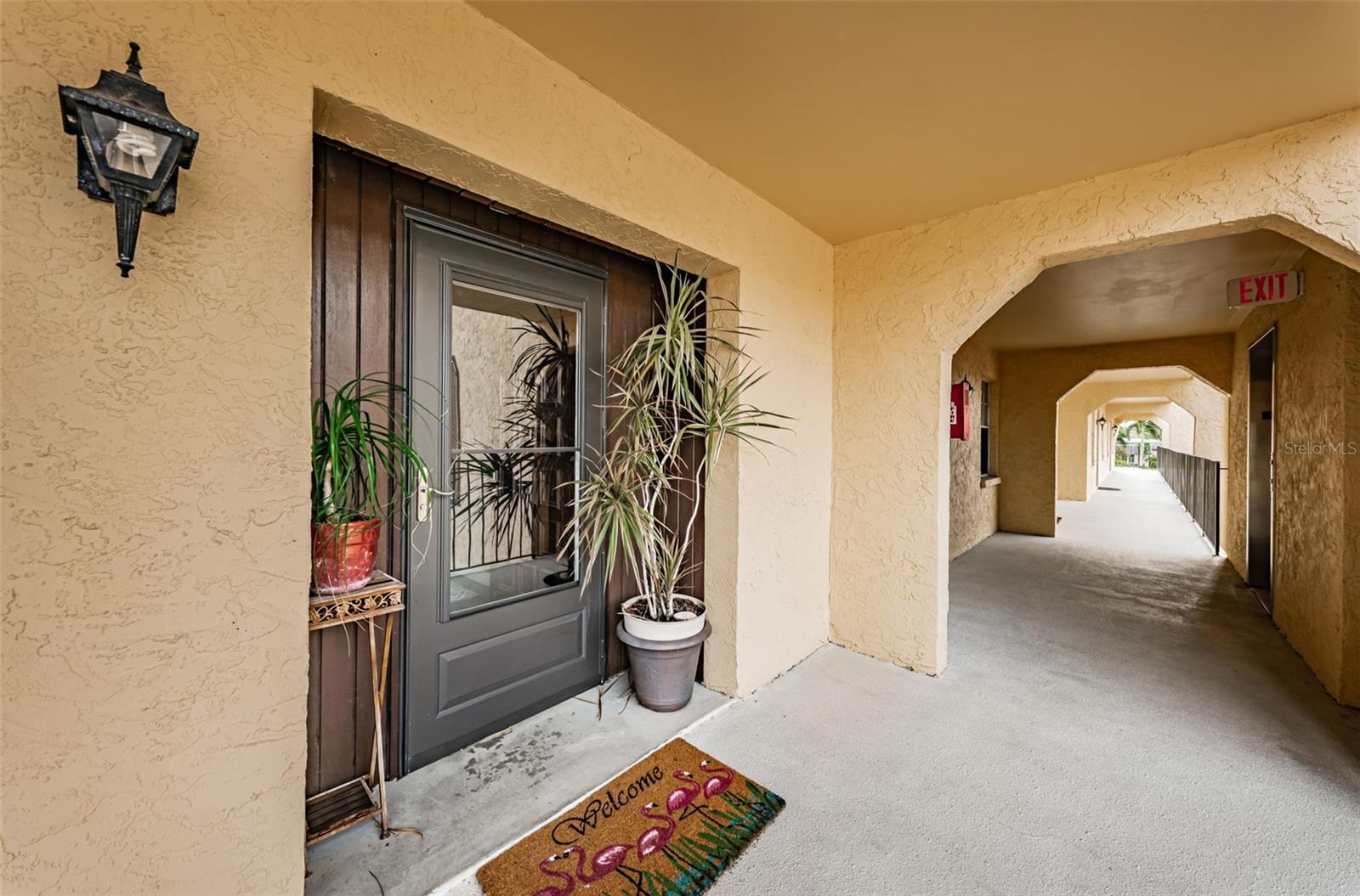 8699 BARDMOOR BLVD #203, SEMINOLE, FL, 33777