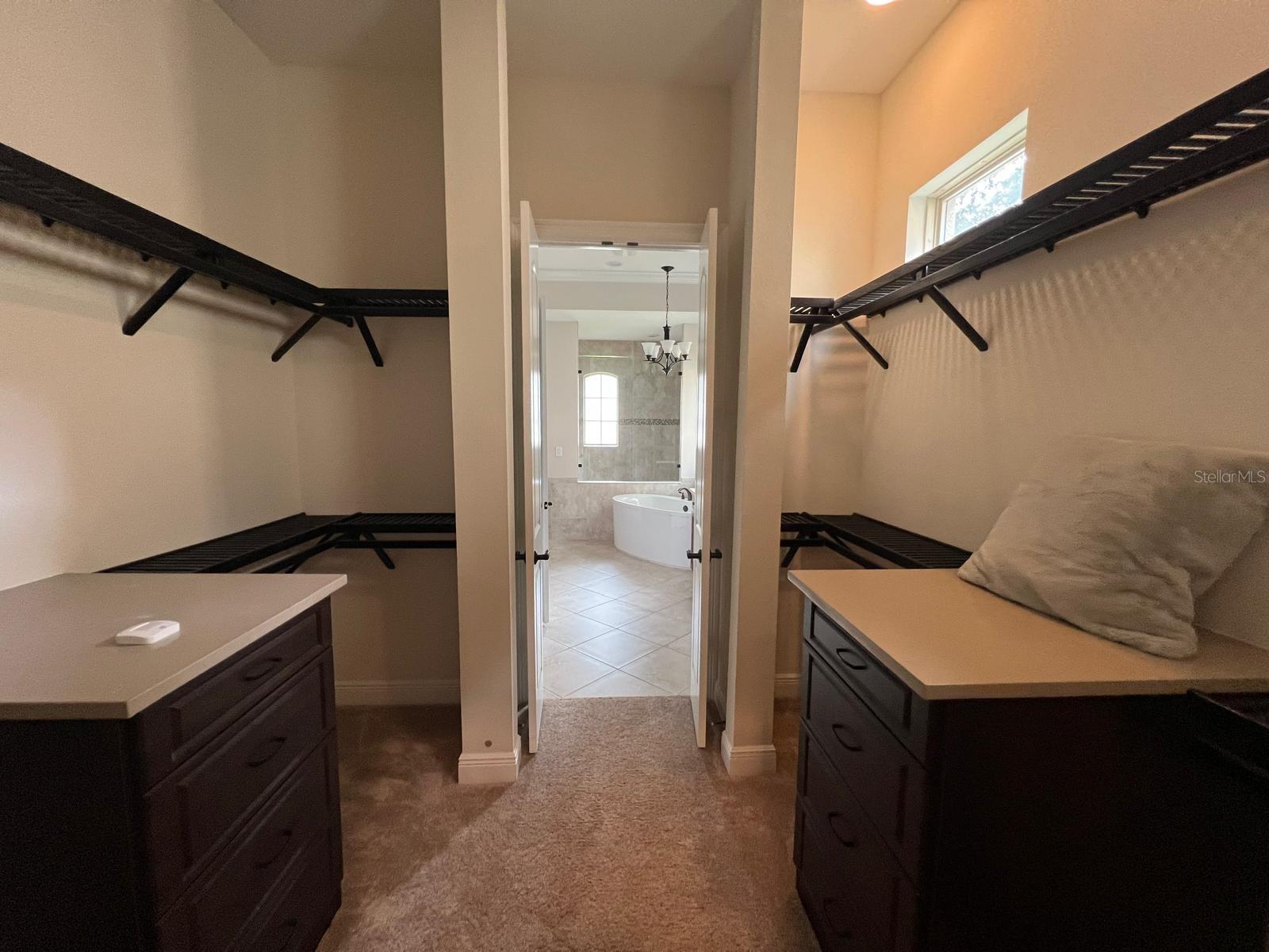 12927 CANOPY WOODS WAY, WINTER GARDEN, FL, 34787