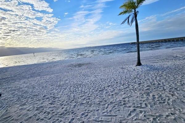 611 DESTINY DR #116, RUSKIN, FL, 33570