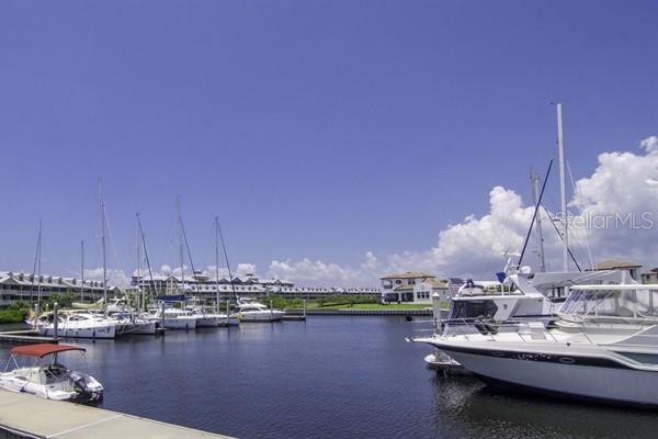 611 DESTINY DR #116, RUSKIN, FL, 33570