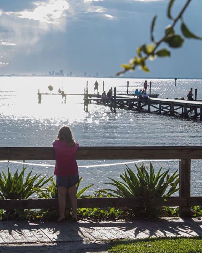 611 DESTINY DR #116, RUSKIN, FL, 33570