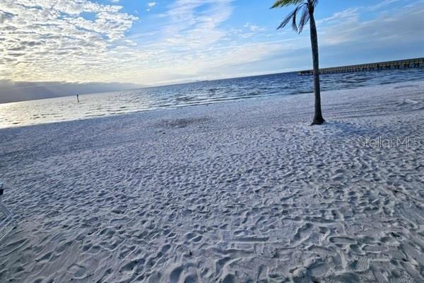 611 DESTINY DR #116, RUSKIN, FL, 33570