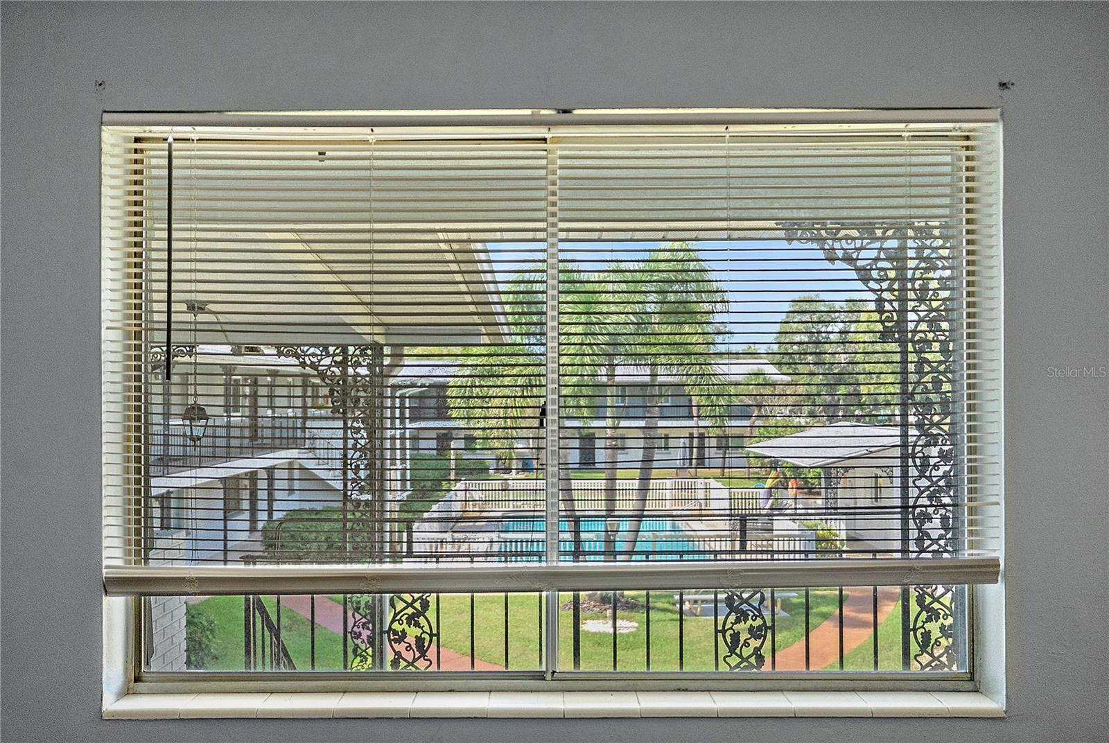 PLEASANT Pool and Tropical "Courtyard" Views from Your Living Room