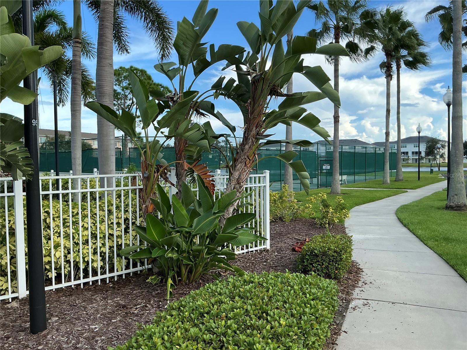 7059 ISLAMORADA CIR, SEMINOLE, FL, 33777