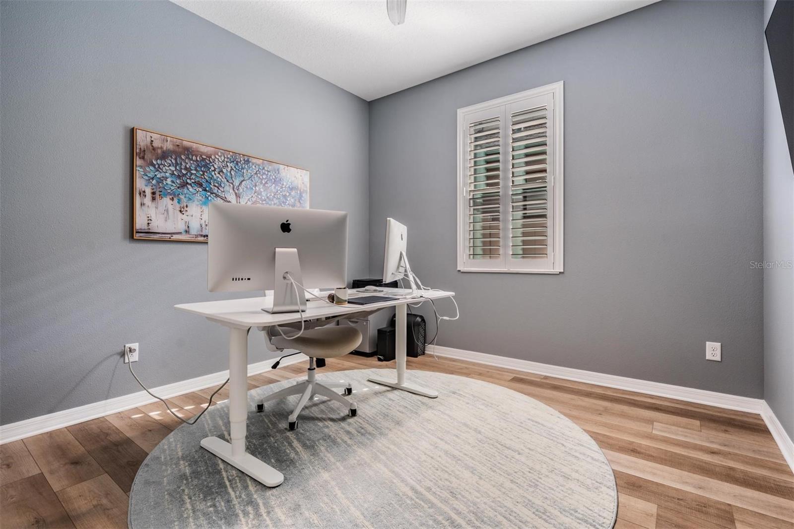 19296 LEONARD RD, LUTZ, FL, 33558