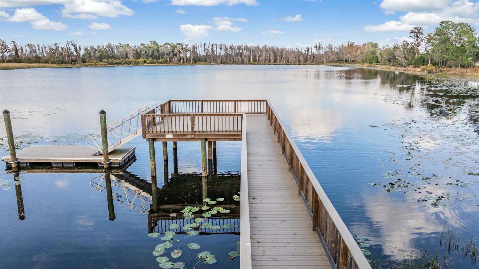 19296 LEONARD RD, LUTZ, FL, 33558