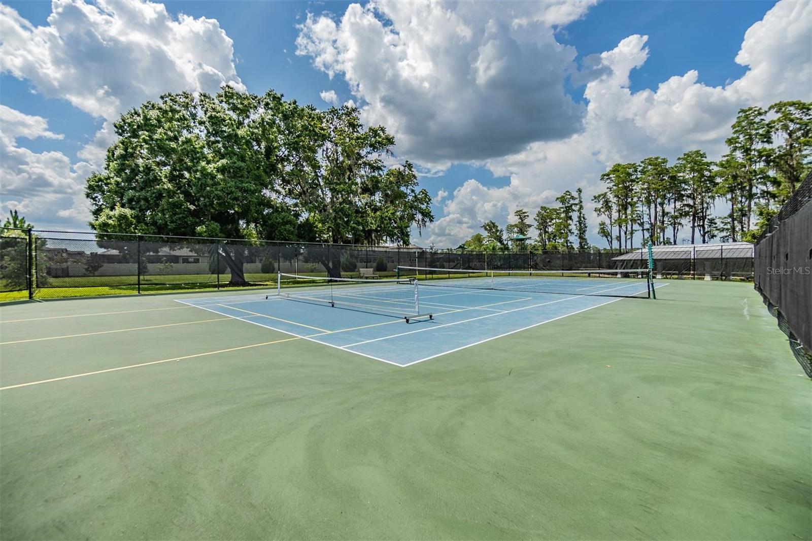 19296 LEONARD RD, LUTZ, FL, 33558