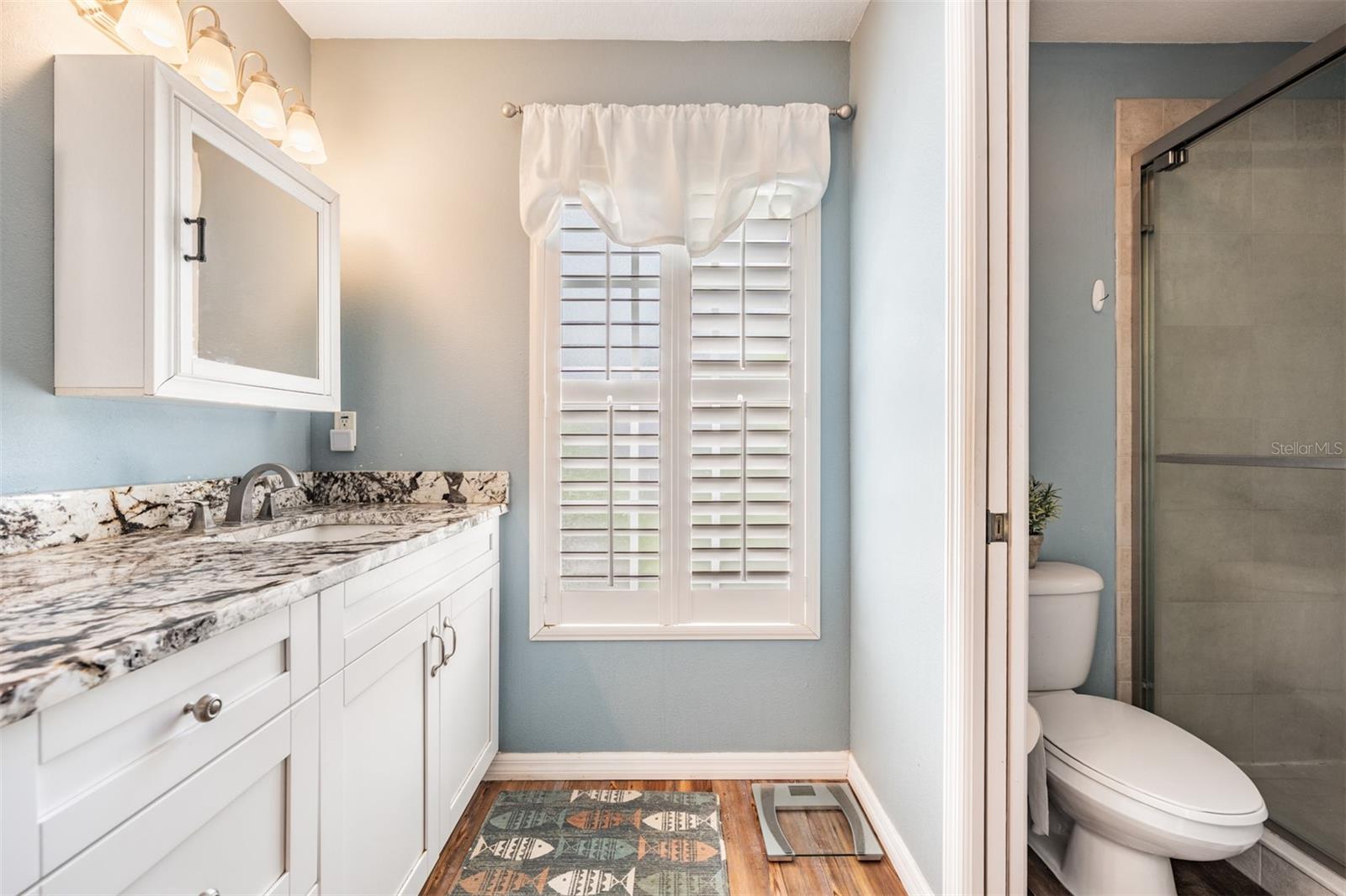 1640 NEBRASKA AVE, PALM HARBOR, FL, 34683