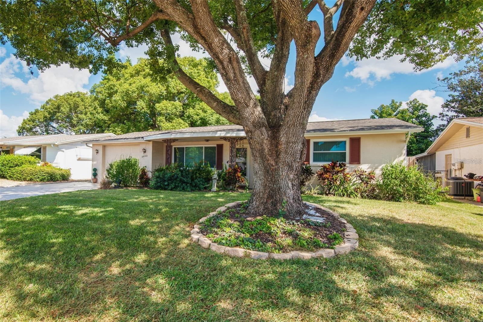 3802 MYNABIRD DR, NEW PORT RICHEY, FL, 34652