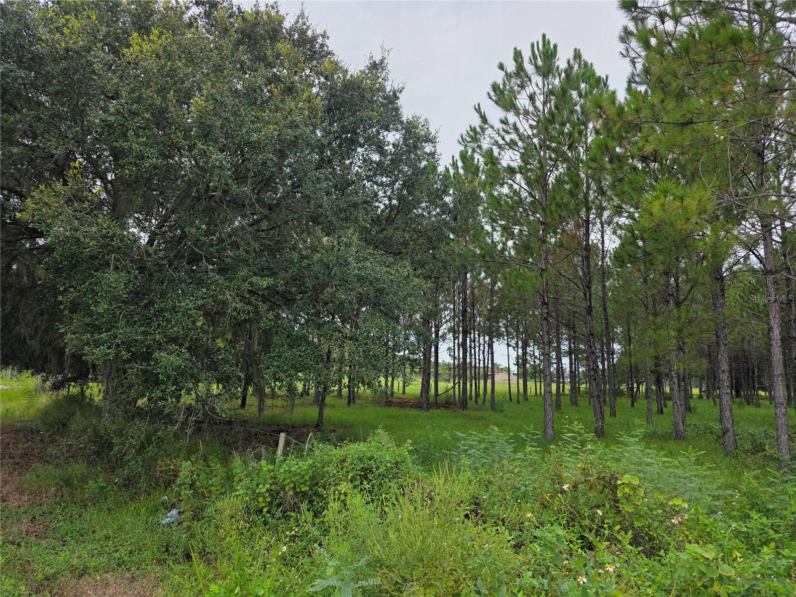 10830 MOORE RD, LAKELAND, FL, 33809