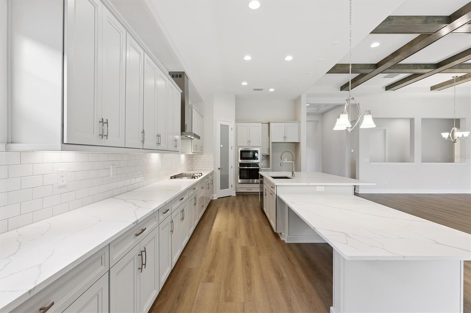 14838 RIDER PASS DR, LITHIA, FL, 33547