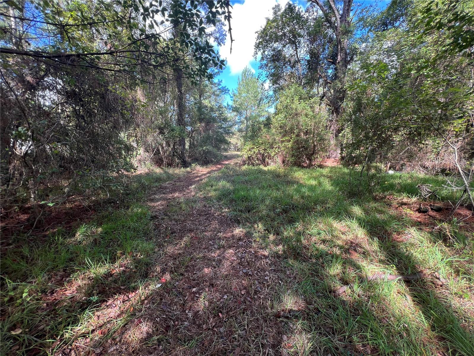 3521 NE COUNTY ROAD 219A, MELROSE, FL, 32666