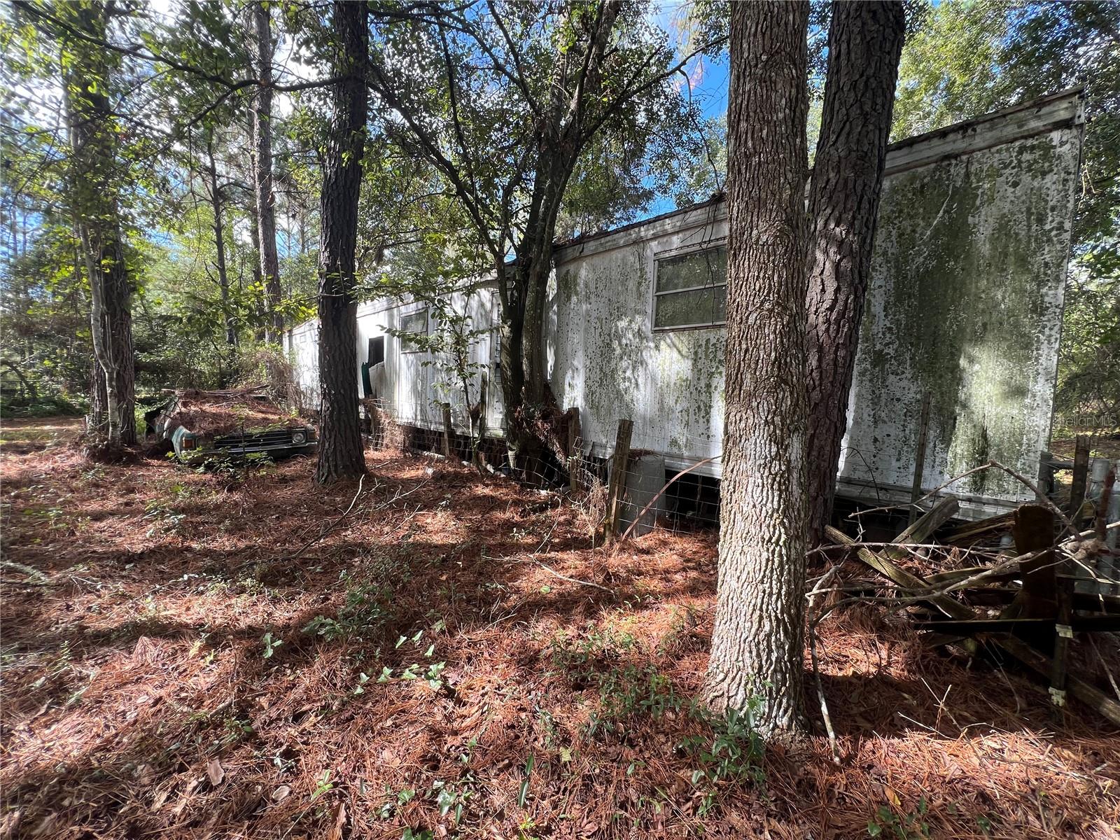 3521 NE COUNTY ROAD 219A, MELROSE, FL, 32666