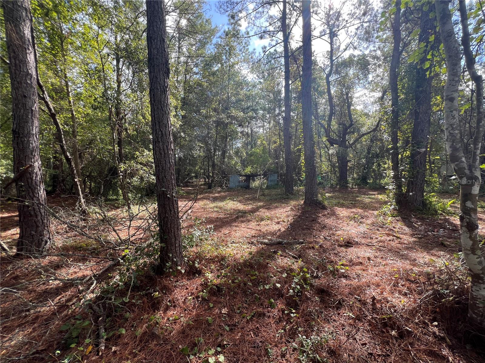 3521 NE COUNTY ROAD 219A, MELROSE, FL, 32666