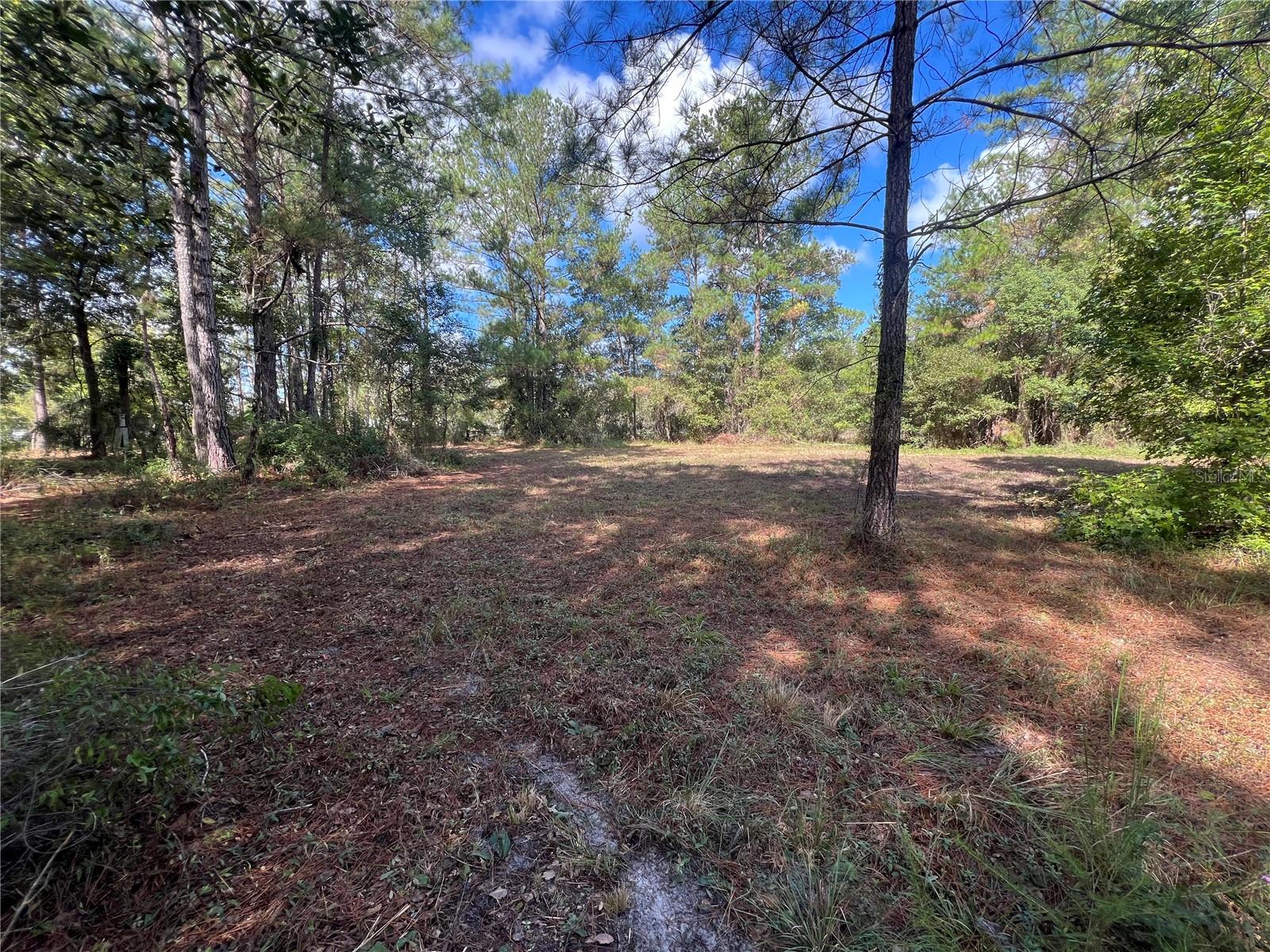 3521 NE COUNTY ROAD 219A, MELROSE, FL, 32666