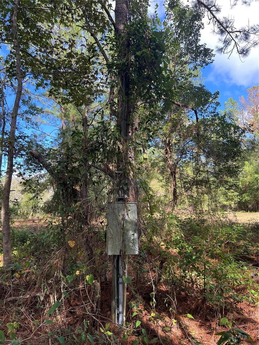 3521 NE COUNTY ROAD 219A, MELROSE, FL, 32666