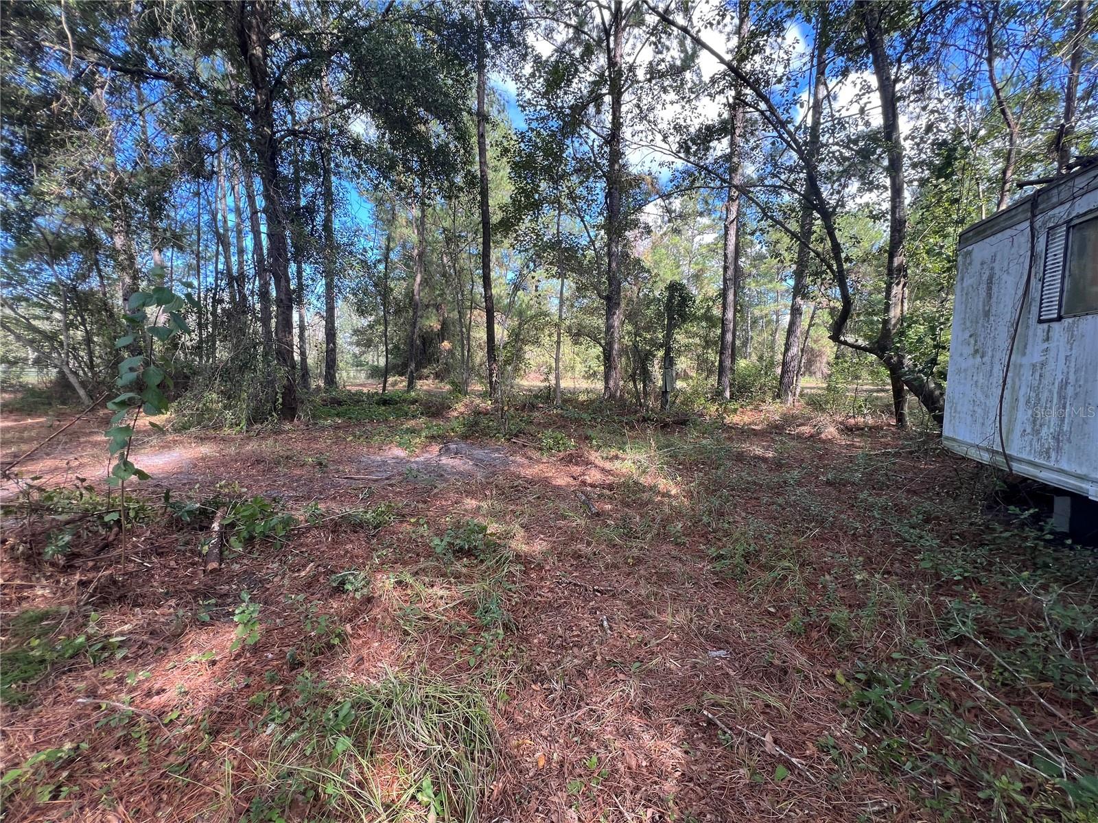 3521 NE COUNTY ROAD 219A, MELROSE, FL, 32666