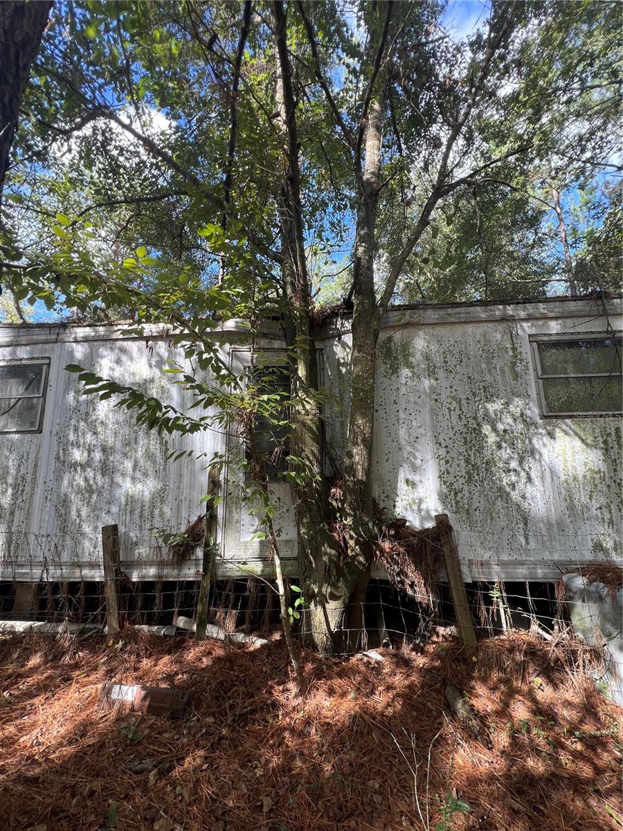 3521 NE COUNTY ROAD 219A, MELROSE, FL, 32666