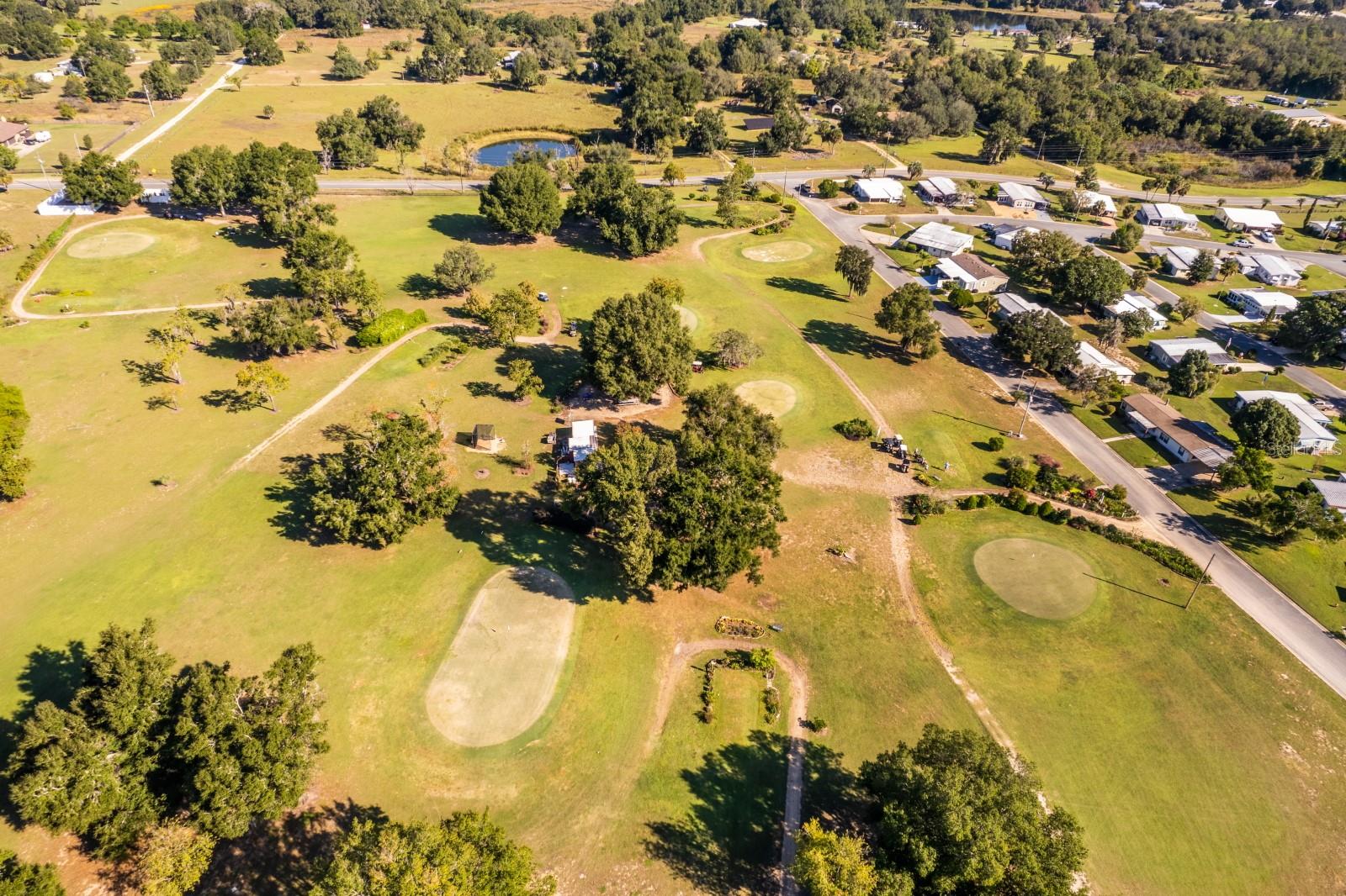 1050 GENEVA WAY, GRAND ISLAND, FL, 32735