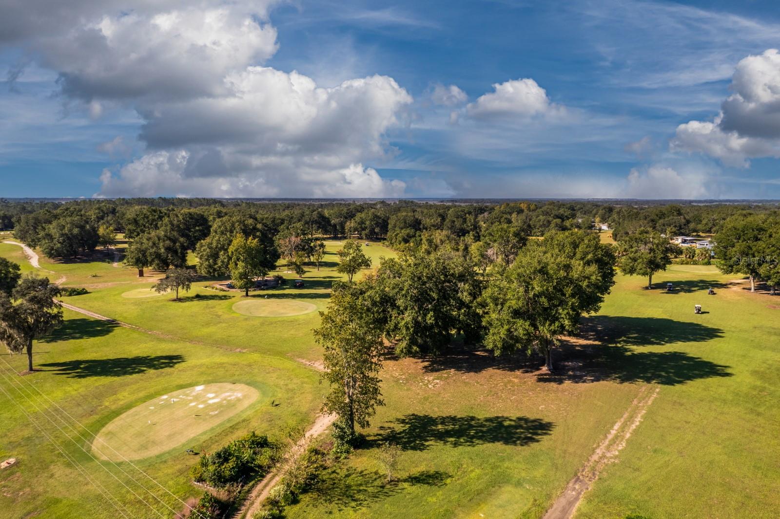 1050 GENEVA WAY, GRAND ISLAND, FL, 32735