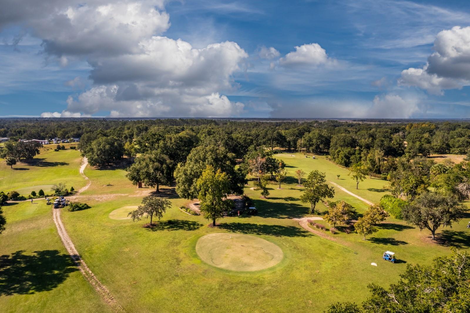 1050 GENEVA WAY, GRAND ISLAND, FL, 32735