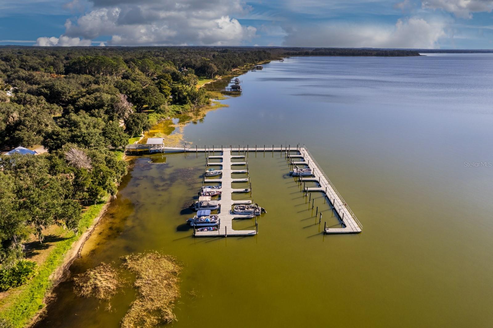 1050 GENEVA WAY, GRAND ISLAND, FL, 32735