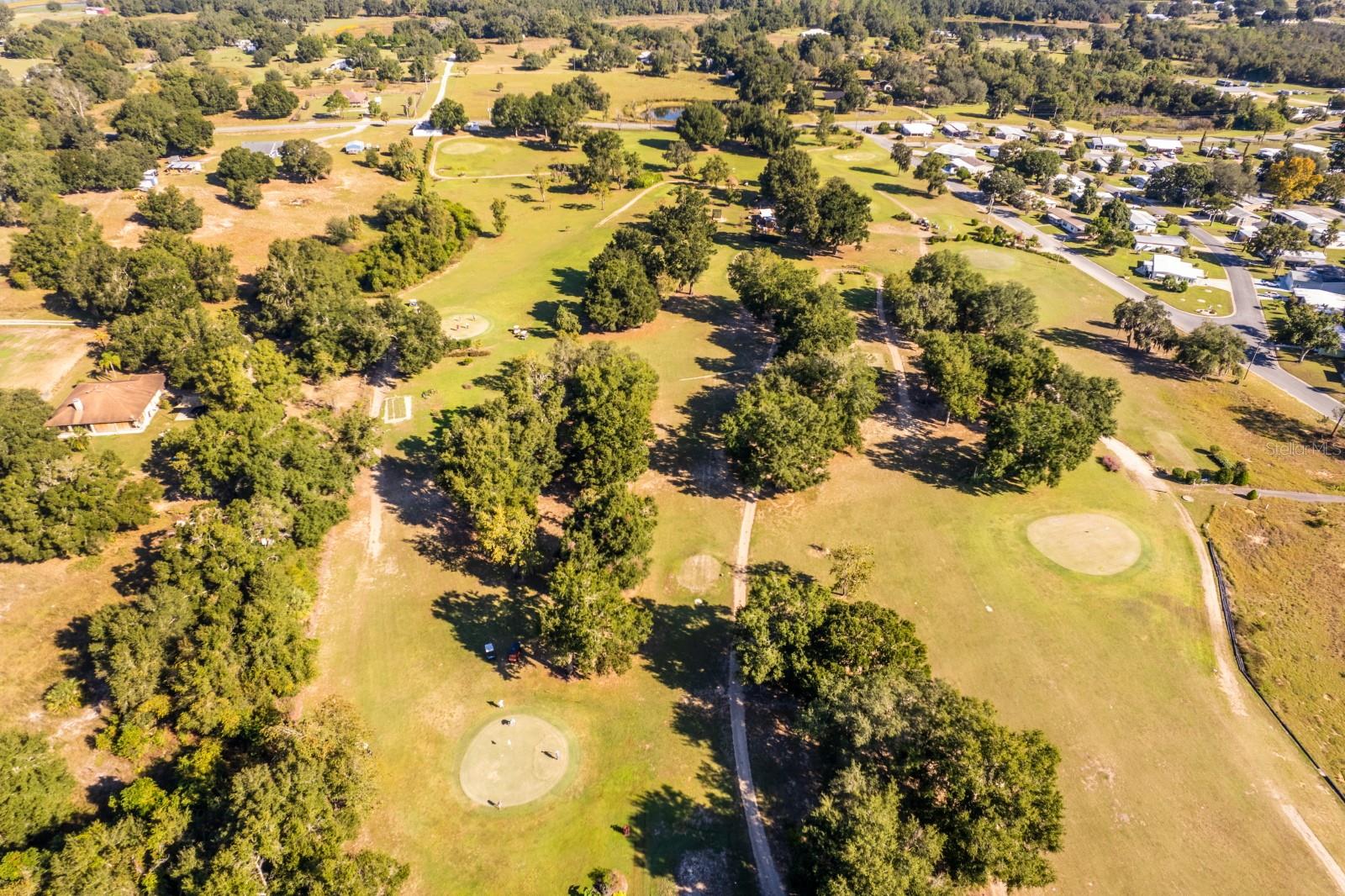 1050 GENEVA WAY, GRAND ISLAND, FL, 32735