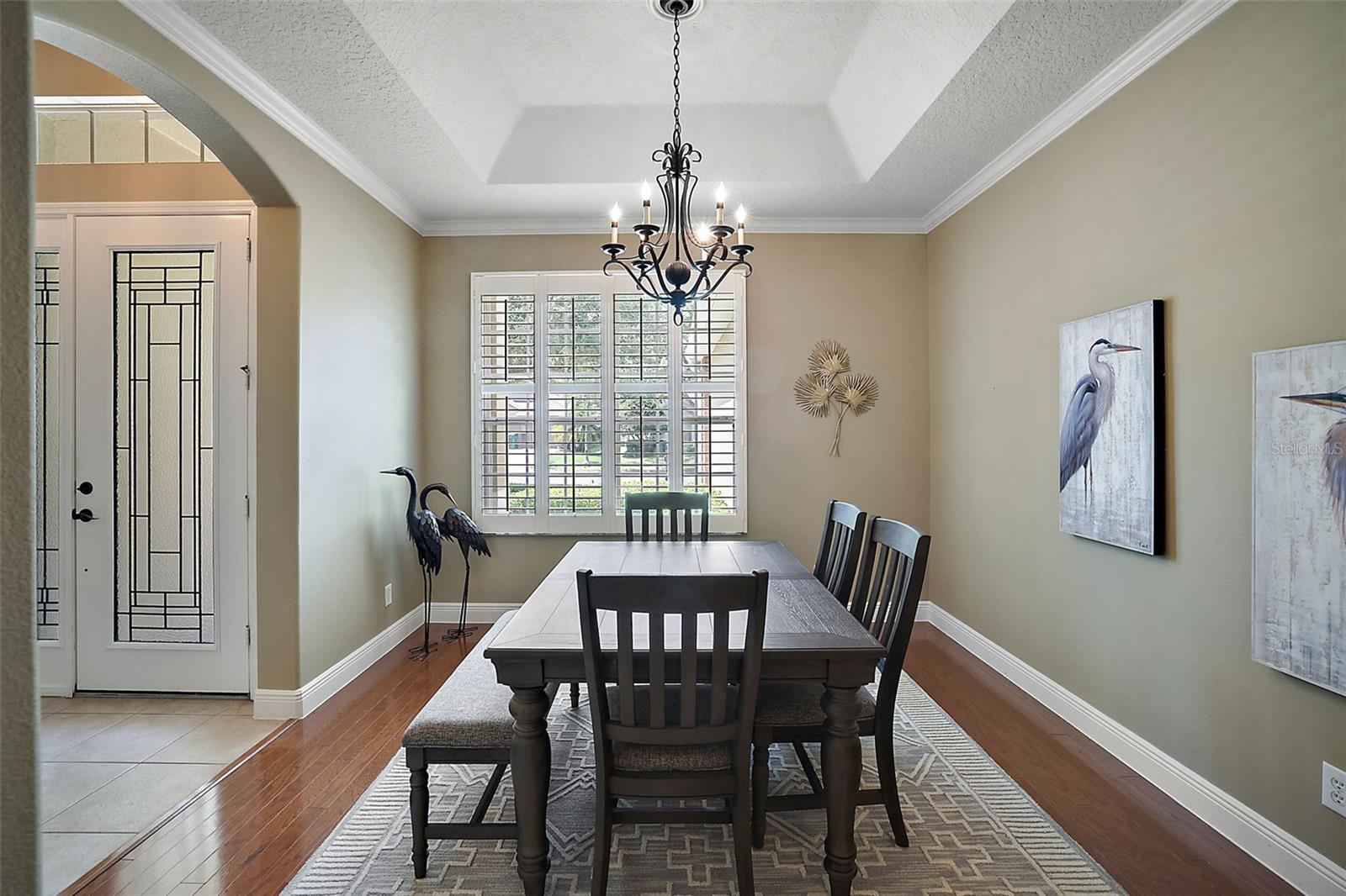 249 BLUE BRANCH ST, EUSTIS, FL, 32736