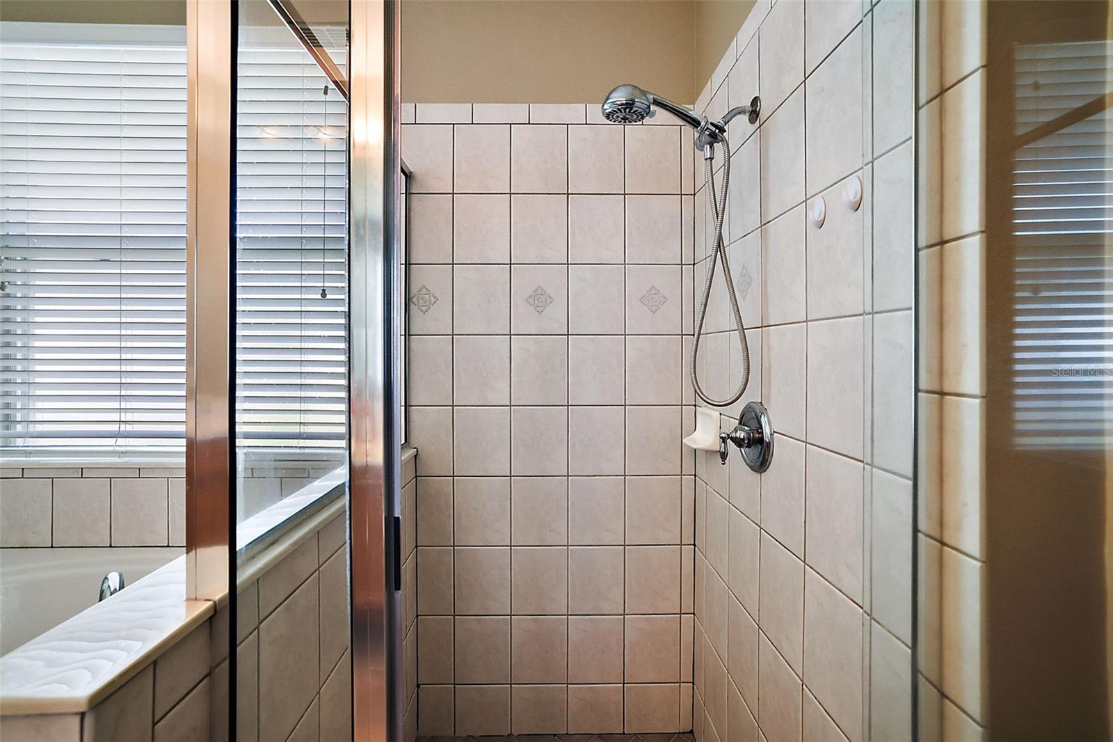 249 BLUE BRANCH ST, EUSTIS, FL, 32736