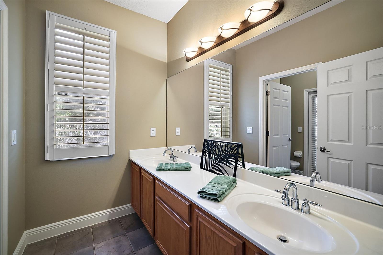 249 BLUE BRANCH ST, EUSTIS, FL, 32736