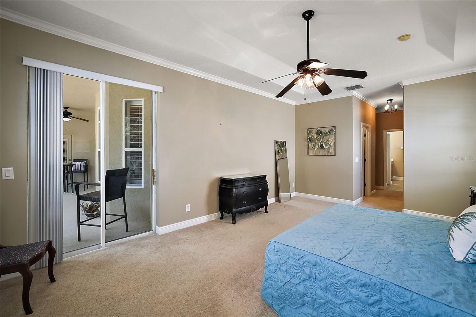 249 BLUE BRANCH ST, EUSTIS, FL, 32736