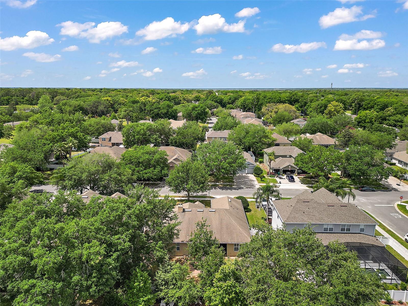 249 BLUE BRANCH ST, EUSTIS, FL, 32736