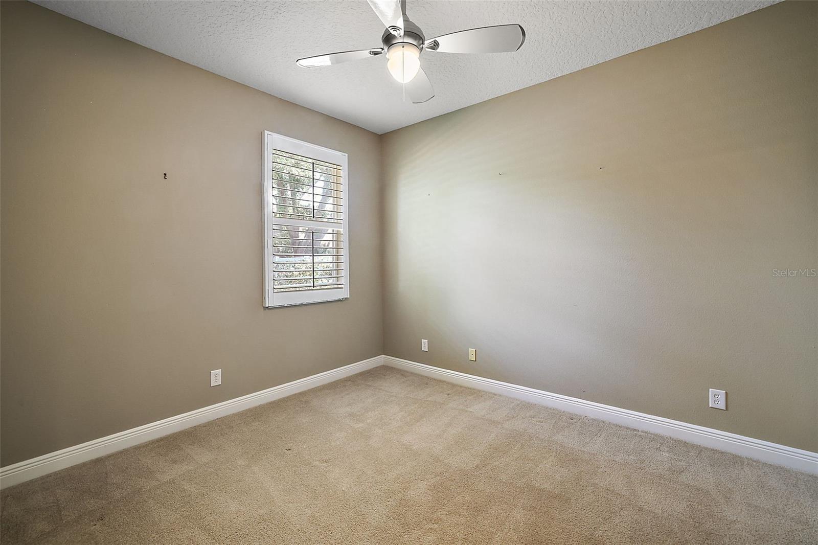 249 BLUE BRANCH ST, EUSTIS, FL, 32736