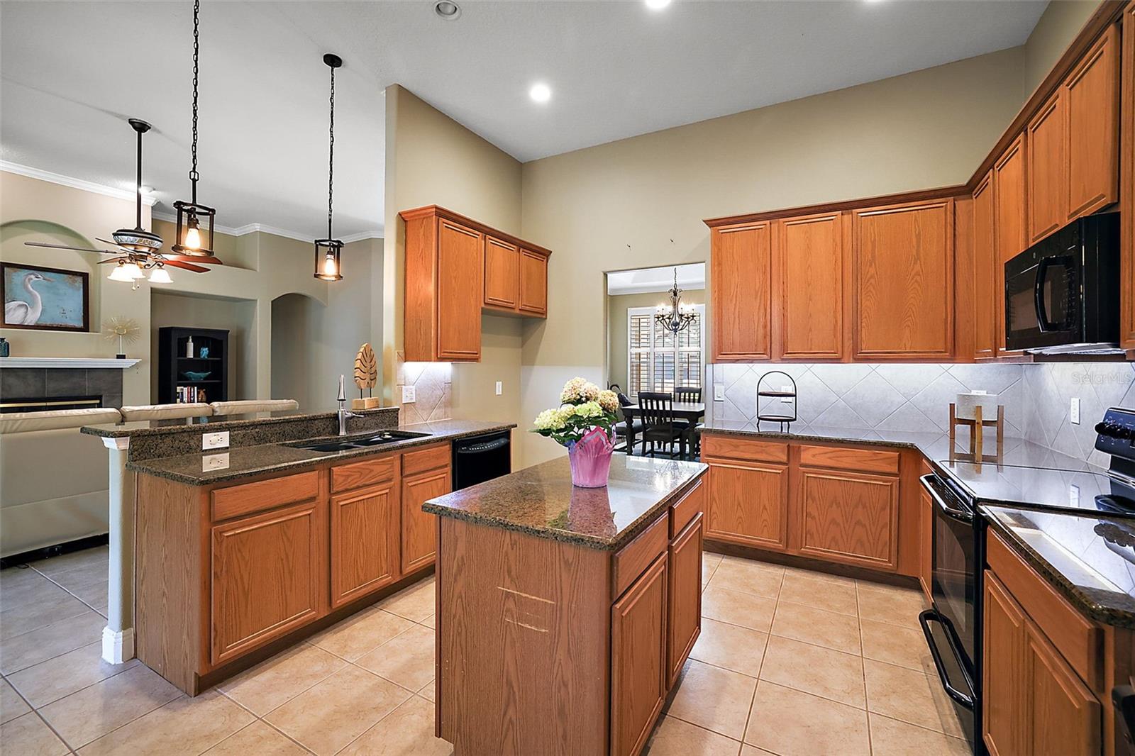 249 BLUE BRANCH ST, EUSTIS, FL, 32736