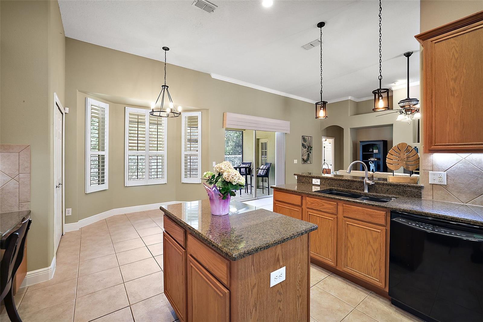 249 BLUE BRANCH ST, EUSTIS, FL, 32736