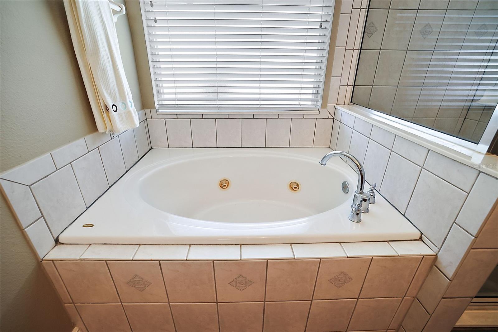 249 BLUE BRANCH ST, EUSTIS, FL, 32736