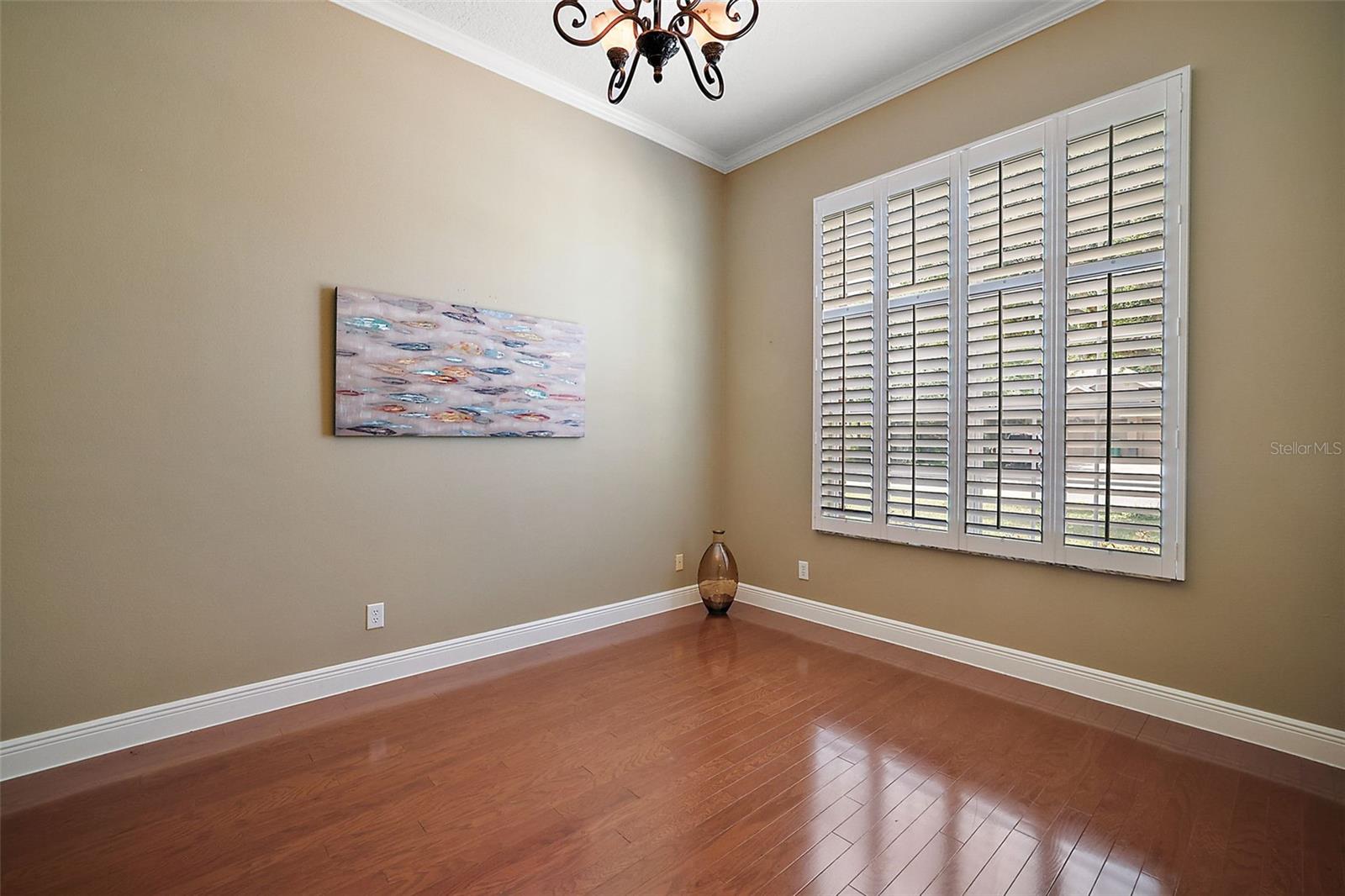 249 BLUE BRANCH ST, EUSTIS, FL, 32736