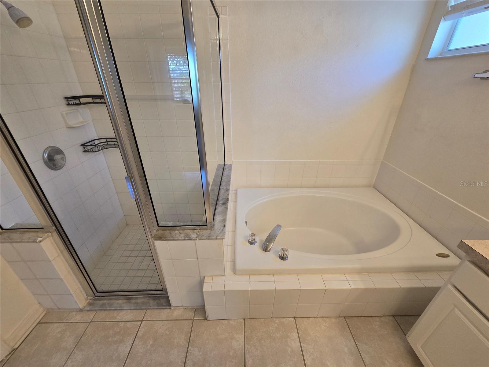 24505 LANDING DR, LUTZ, FL, 33559