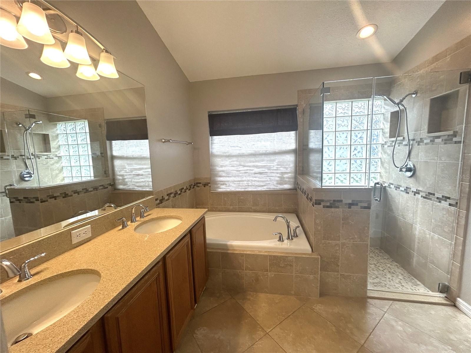 1309 HORSEMINT LN, WESLEY CHAPEL, FL, 33543