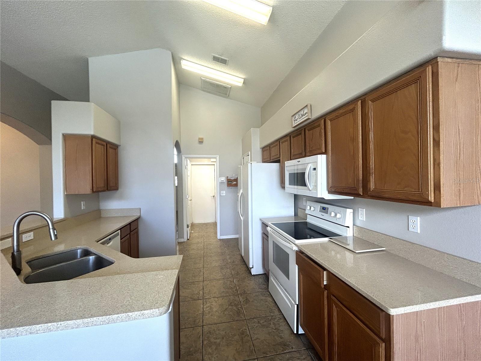 1309 HORSEMINT LN, WESLEY CHAPEL, FL, 33543