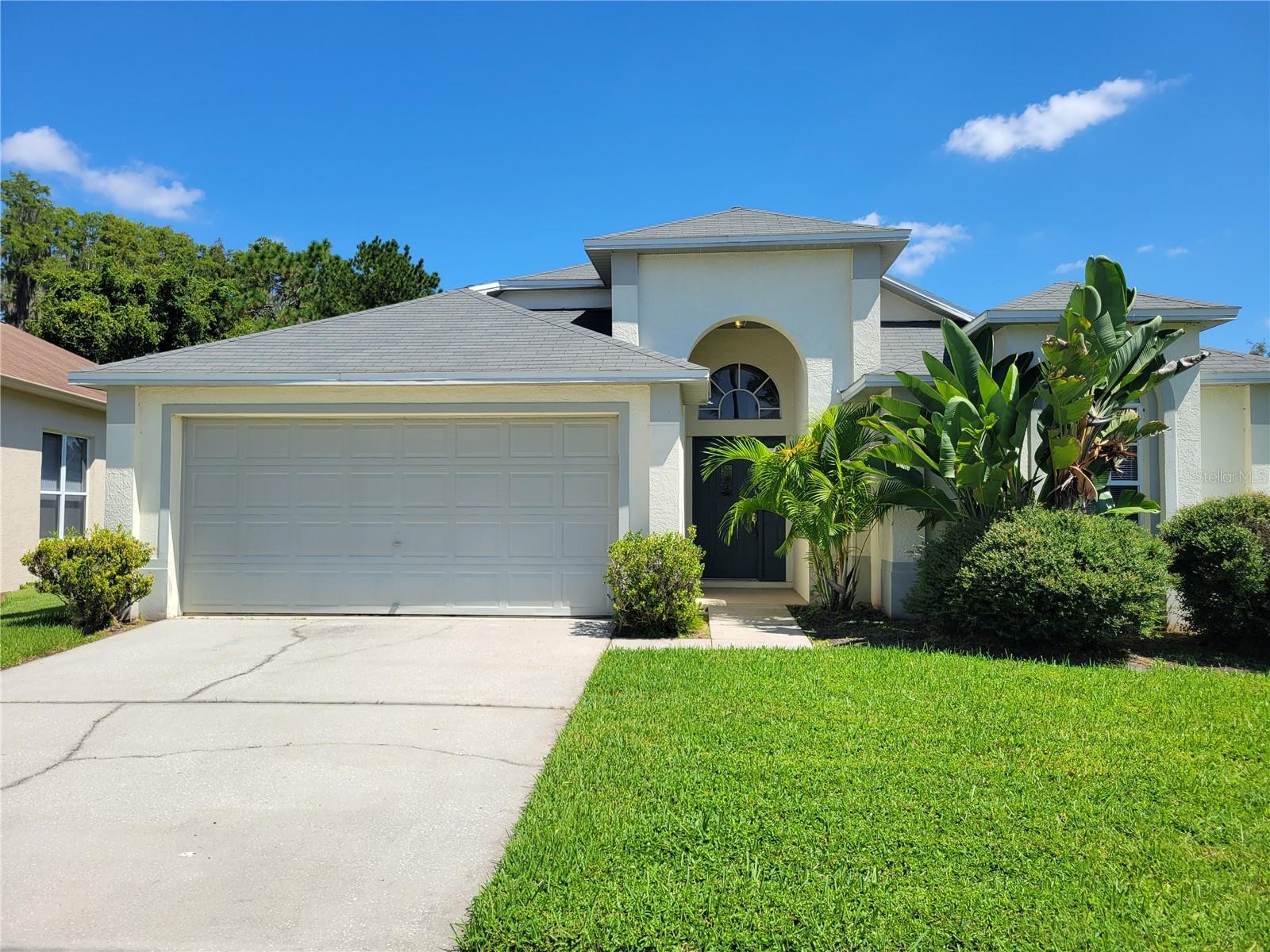1309 HORSEMINT LN, WESLEY CHAPEL, FL, 33543