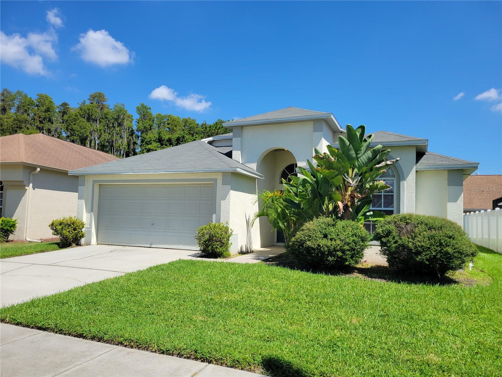 1309 HORSEMINT LN, WESLEY CHAPEL, FL, 33543