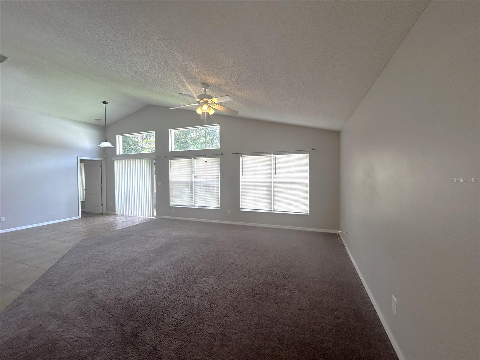 1309 HORSEMINT LN, WESLEY CHAPEL, FL, 33543